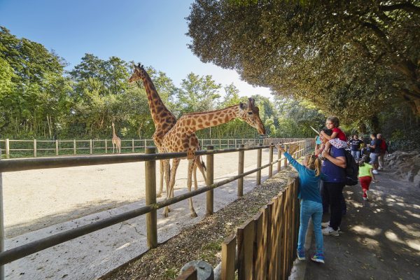 Zoo des Sables d'Olonne