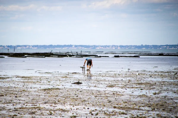 pêche à pied en Vendée